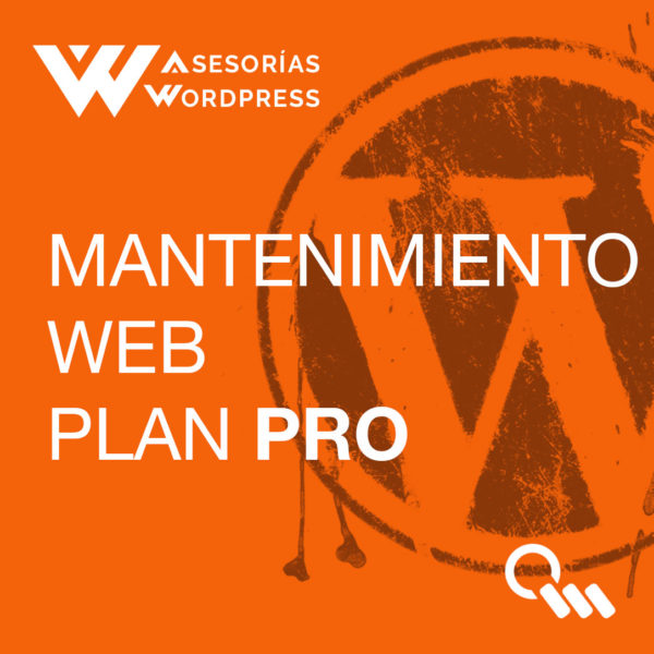 Mantenimiento-WEB-Plan-PRO